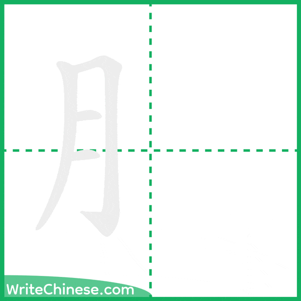 中国語の簡体字「⺼」の筆順アニメーション