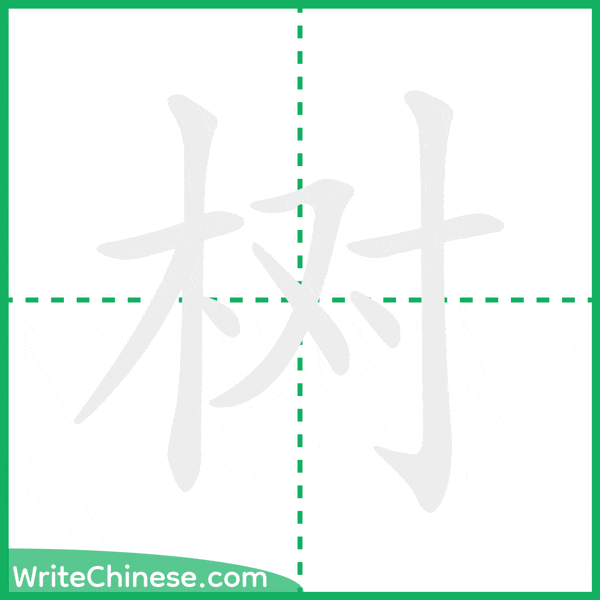 中国語の簡体字「树」の筆順アニメーション