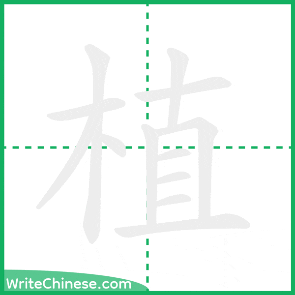 中国語の簡体字「植」の筆順アニメーション