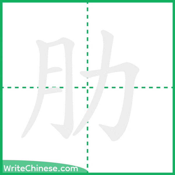 中国語の簡体字「肋」の筆順アニメーション