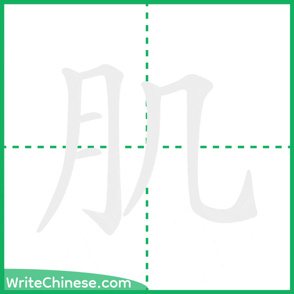 中国語の簡体字「肌」の筆順アニメーション