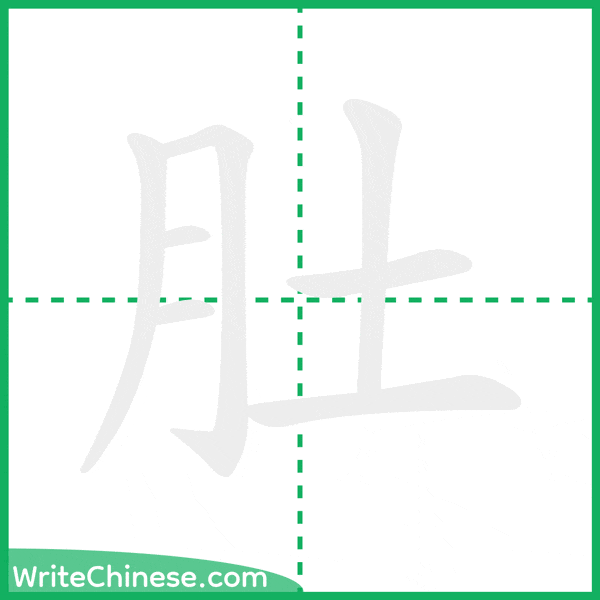 中国語の簡体字「肚」の筆順アニメーション