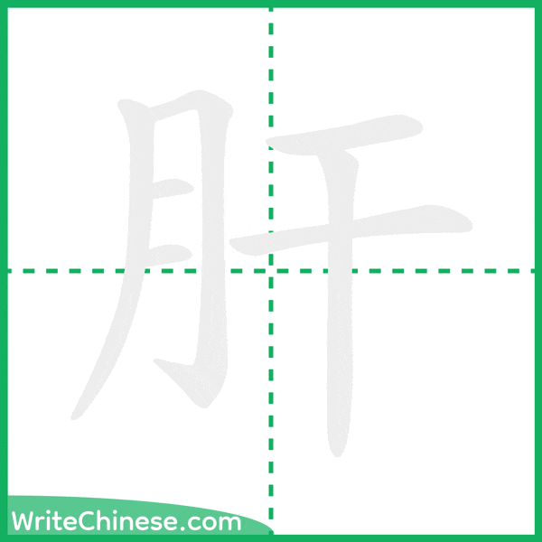 中国語の簡体字「肝」の筆順アニメーション