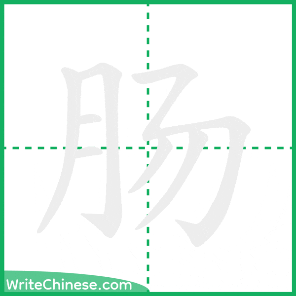 肠 ลำดับขีดอักษรจีน