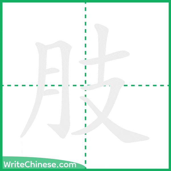 中国語の簡体字「肢」の筆順アニメーション