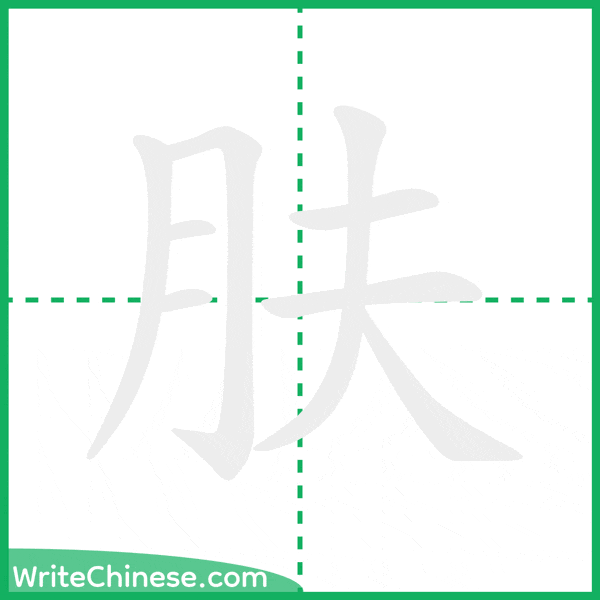 中国語の簡体字「肤」の筆順アニメーション