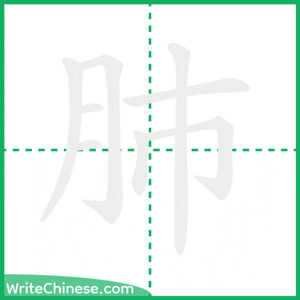 中国語の簡体字「肺」の筆順アニメーション