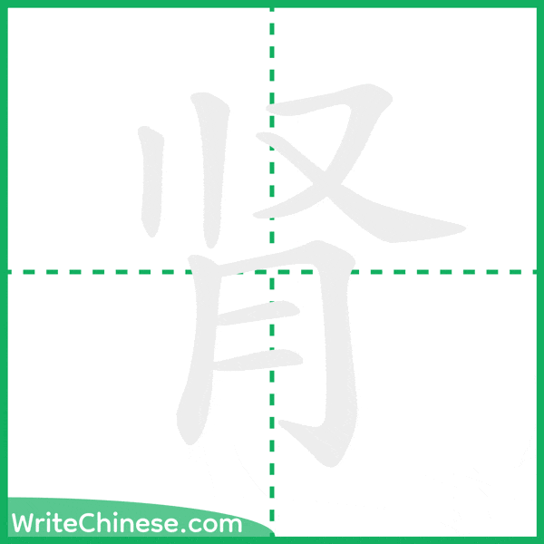 中国語の簡体字「肾」の筆順アニメーション
