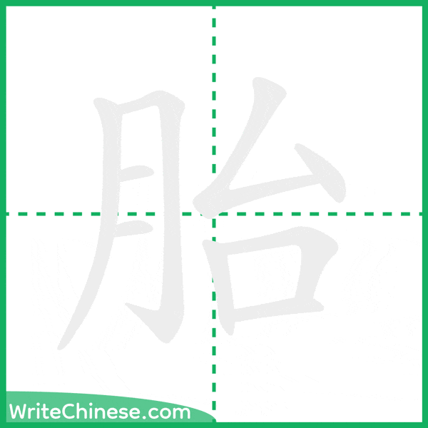 中国語の簡体字「胎」の筆順アニメーション