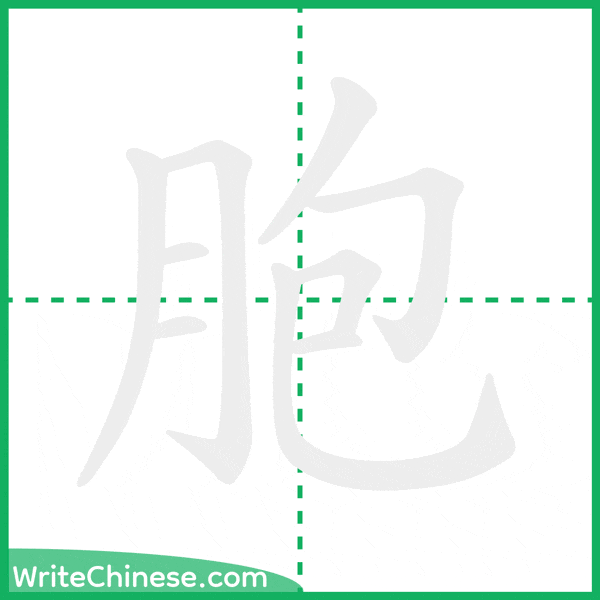 胞 ลำดับขีดอักษรจีน