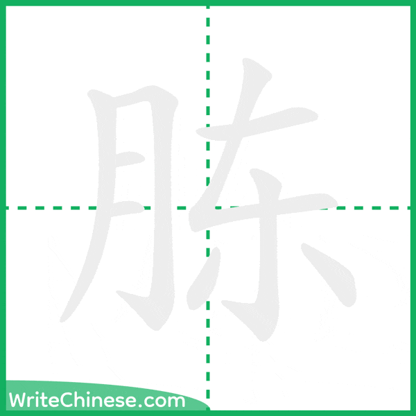 中国語の簡体字「胨」の筆順アニメーション