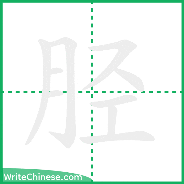 中国語の簡体字「胫」の筆順アニメーション