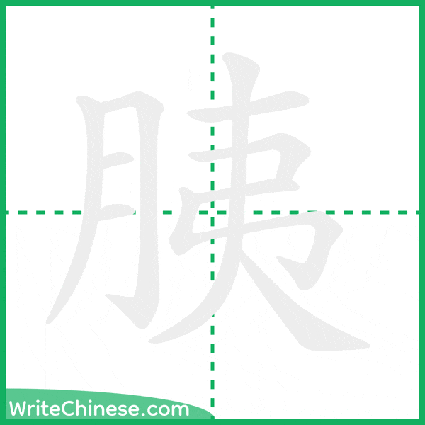 中国語の簡体字「胰」の筆順アニメーション