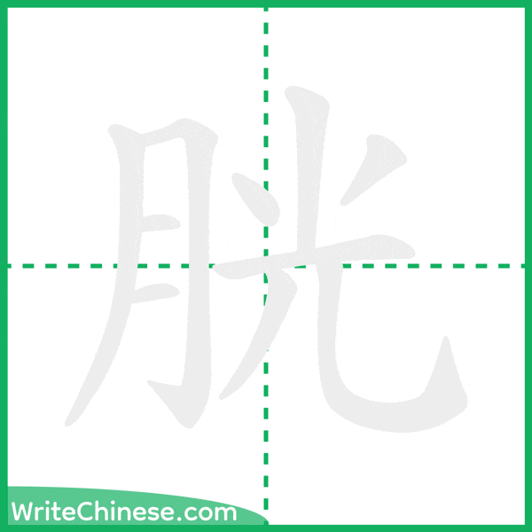 中国語の簡体字「胱」の筆順アニメーション