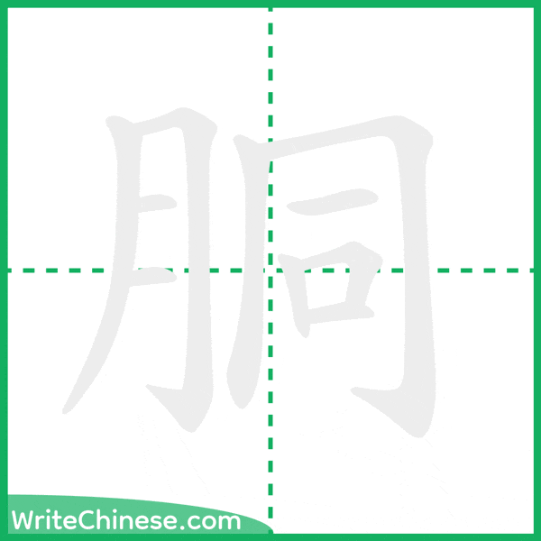 中国語の簡体字「胴」の筆順アニメーション