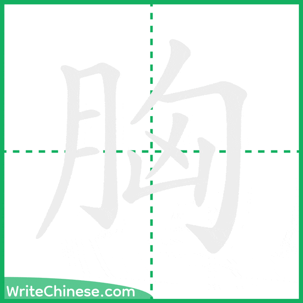 中国語の簡体字「胸」の筆順アニメーション