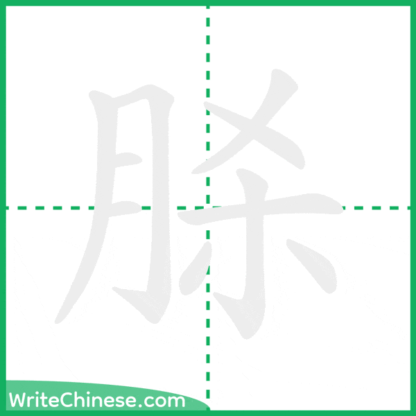 中国語の簡体字「脎」の筆順アニメーション