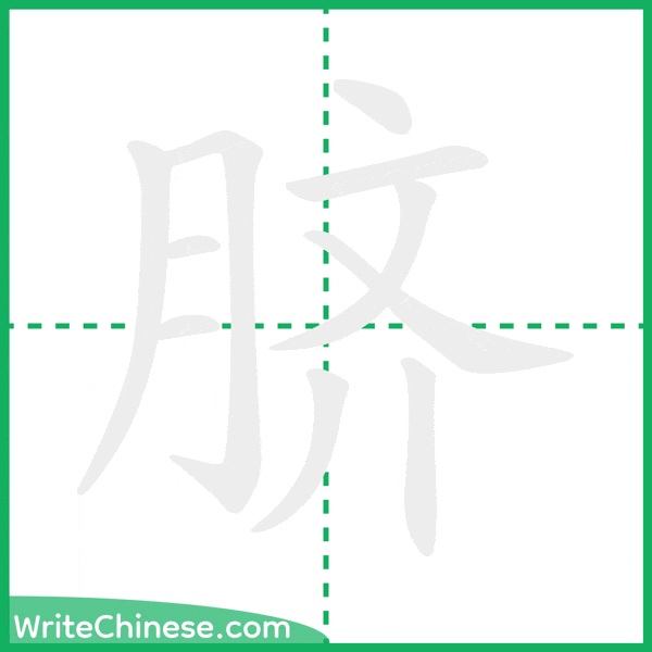中国語の簡体字「脐」の筆順アニメーション