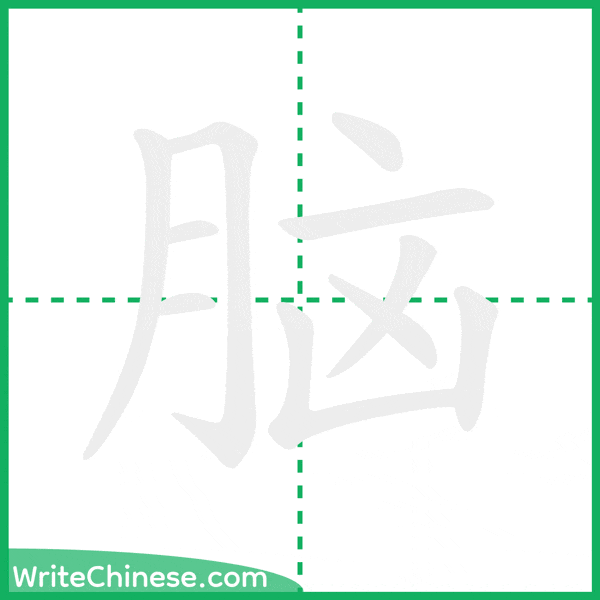 中国語の簡体字「脑」の筆順アニメーション