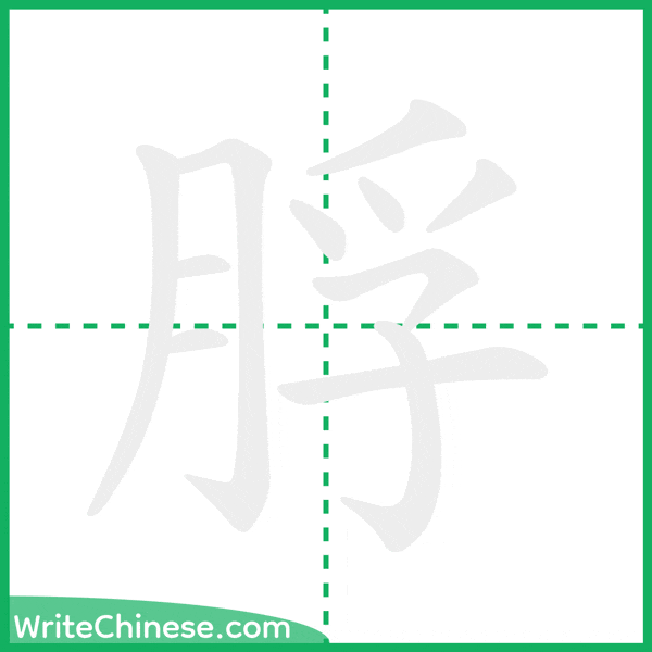 中国語の簡体字「脬」の筆順アニメーション