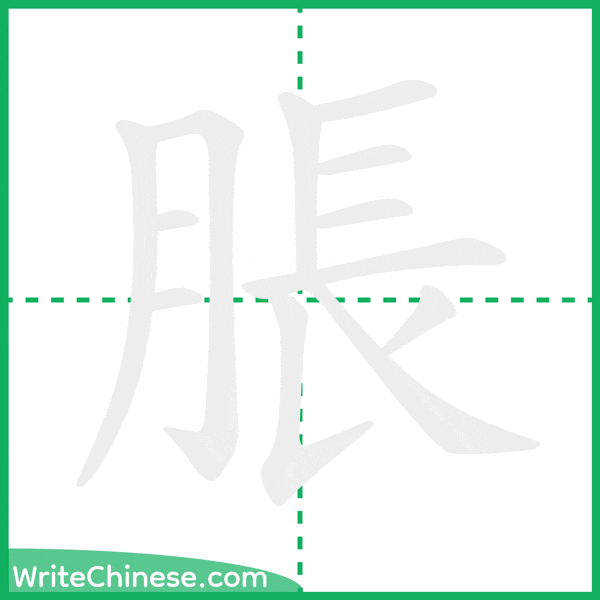 中国語の簡体字「脹」の筆順アニメーション