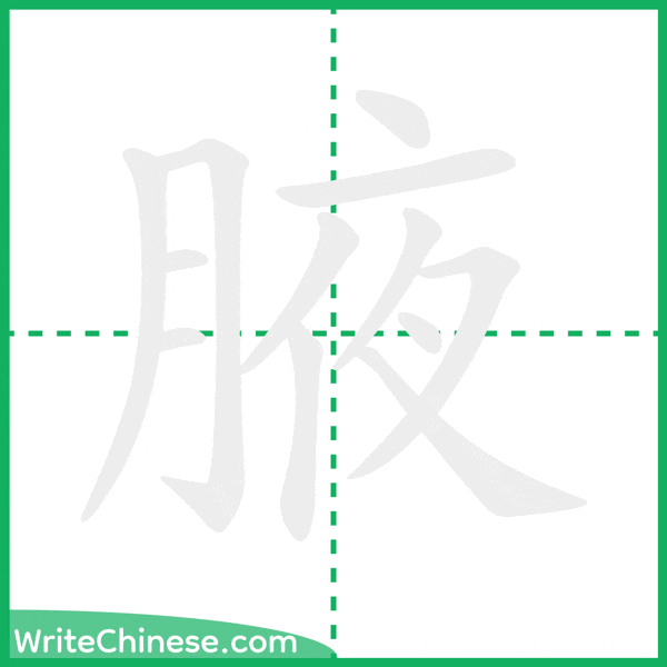 中国語の簡体字「腋」の筆順アニメーション