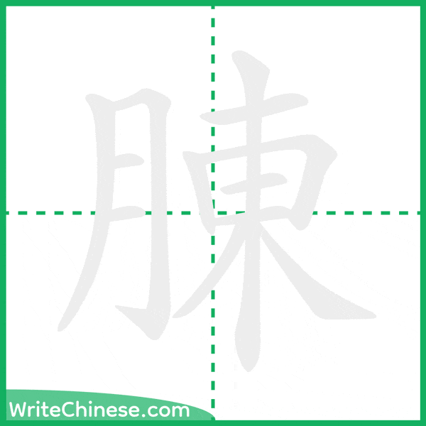 中国語の簡体字「腖」の筆順アニメーション