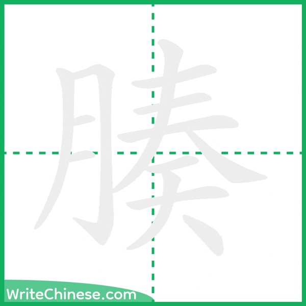 腠 ลำดับขีดอักษรจีน