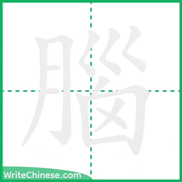 中国語の簡体字「腦」の筆順アニメーション