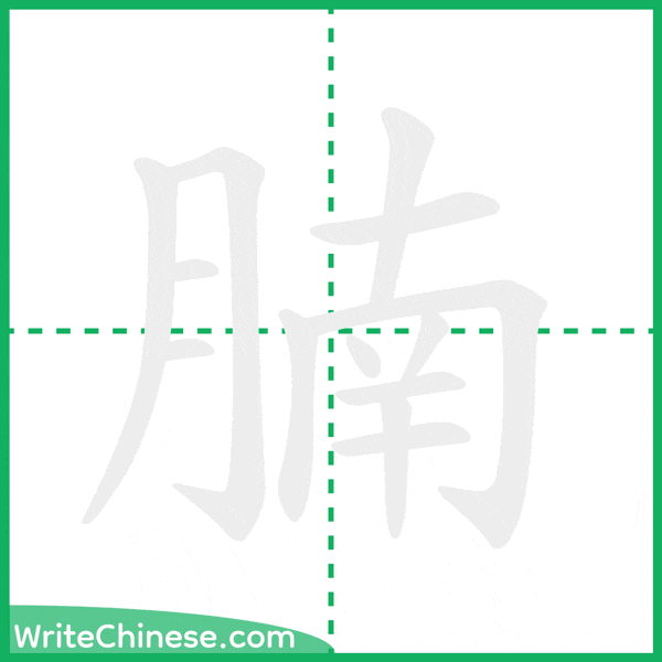 中国語の簡体字「腩」の筆順アニメーション