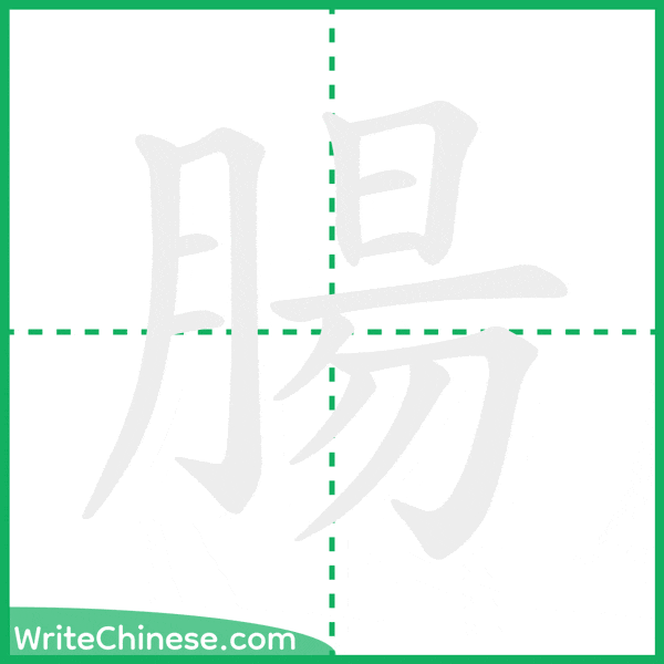 中国語の簡体字「腸」の筆順アニメーション