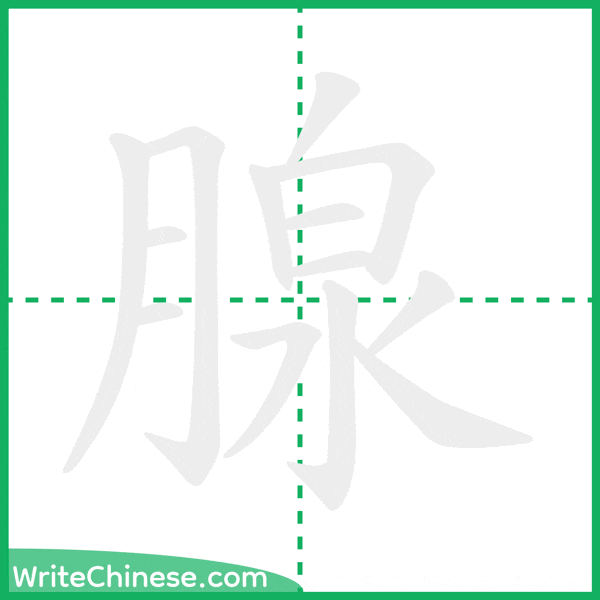 中国語の簡体字「腺」の筆順アニメーション