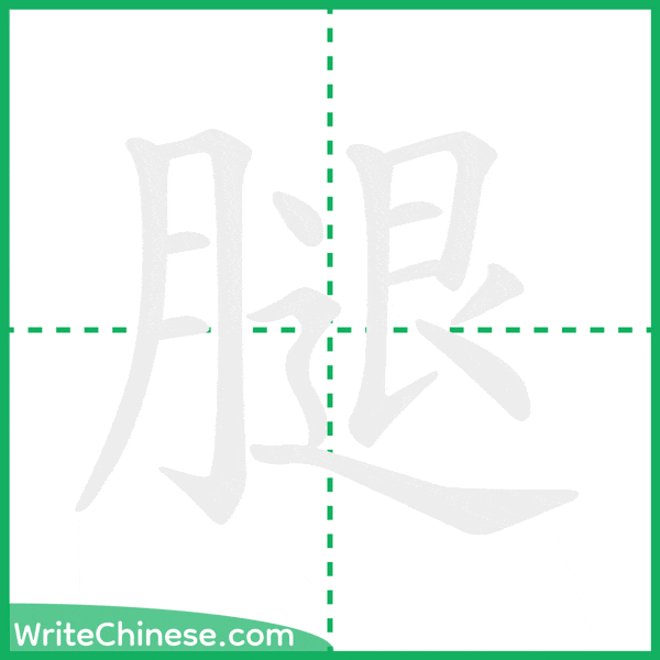 中国語の簡体字「腿」の筆順アニメーション