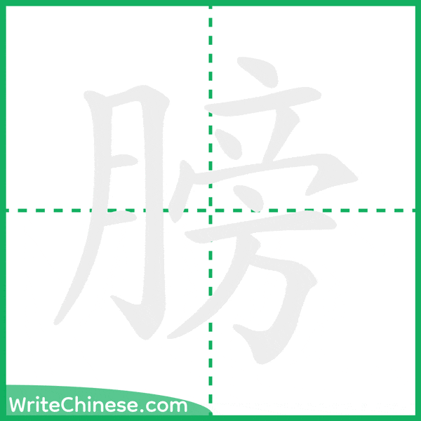 中国語の簡体字「膀」の筆順アニメーション