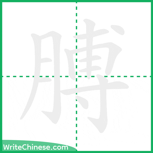 中国語の簡体字「膊」の筆順アニメーション
