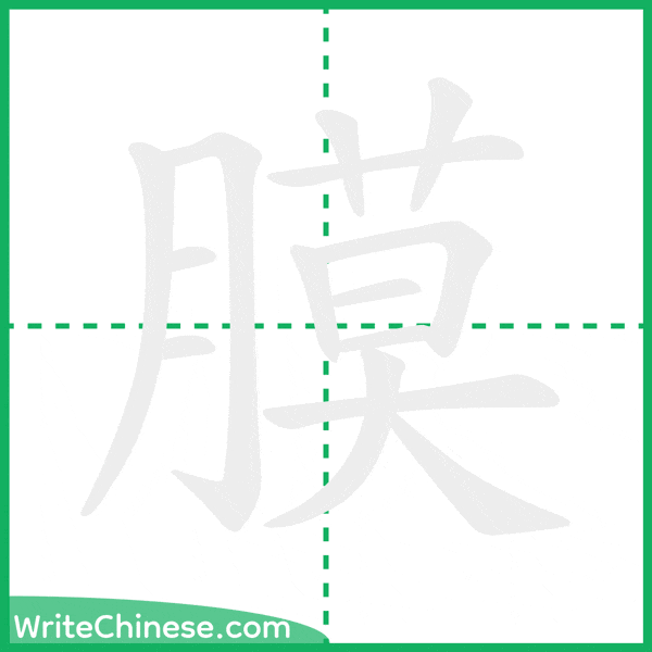 膜 ลำดับขีดอักษรจีน