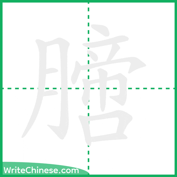 中国語の簡体字「膪」の筆順アニメーション