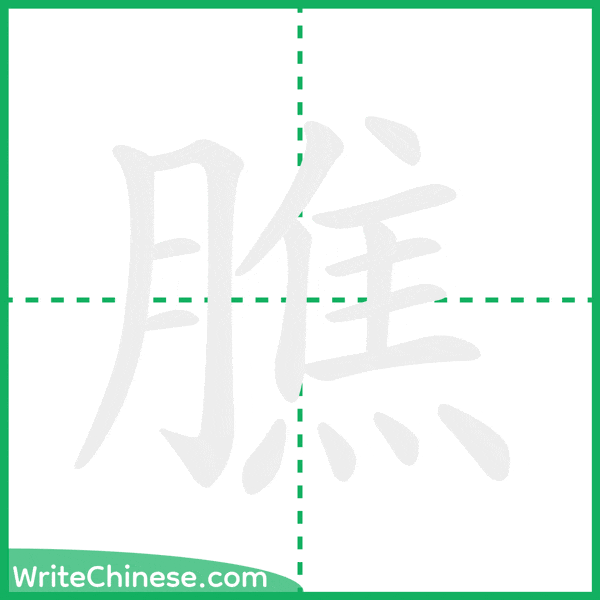 中国語の簡体字「膲」の筆順アニメーション