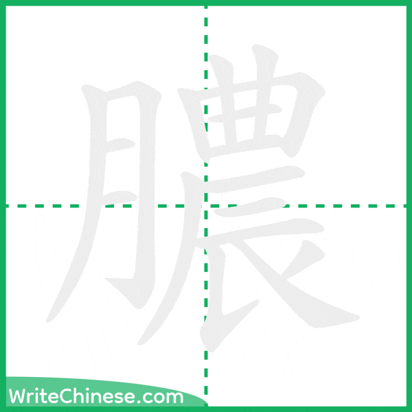中国語の簡体字「膿」の筆順アニメーション