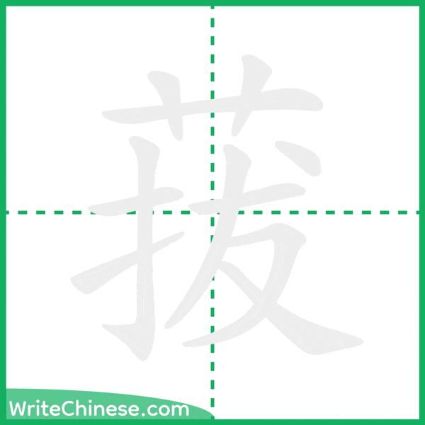 中国語の簡体字「菝」の筆順アニメーション