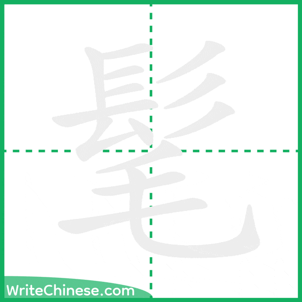 中国語の簡体字「髦」の筆順アニメーション