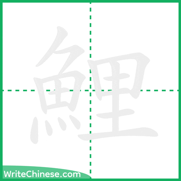 中国語の簡体字「鯉」の筆順アニメーション