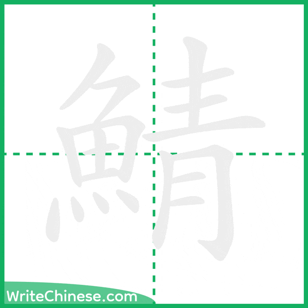 中国語の簡体字「鯖」の筆順アニメーション