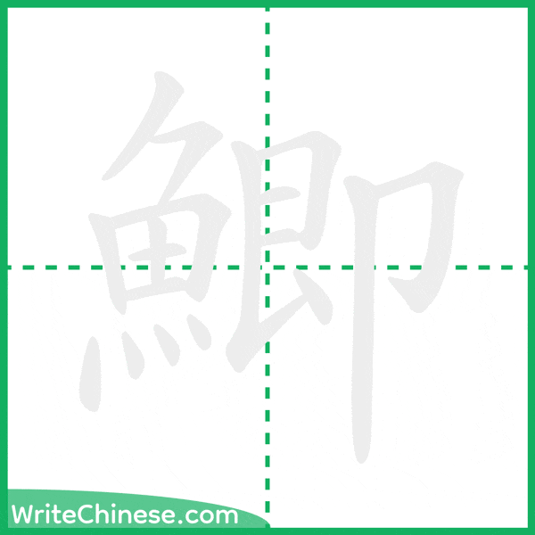 中国語の簡体字「鯽」の筆順アニメーション