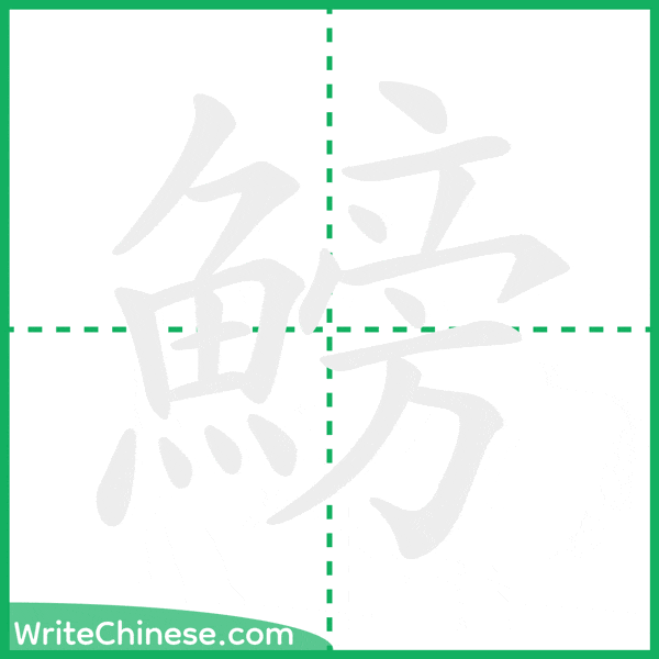 中国語の簡体字「鰟」の筆順アニメーション
