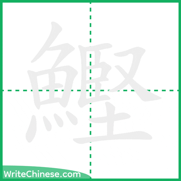 中国語の簡体字「鰹」の筆順アニメーション