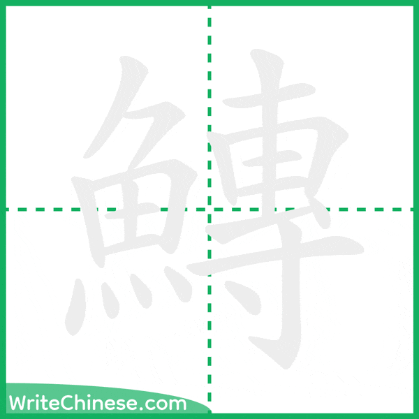 中国語の簡体字「鱄」の筆順アニメーション