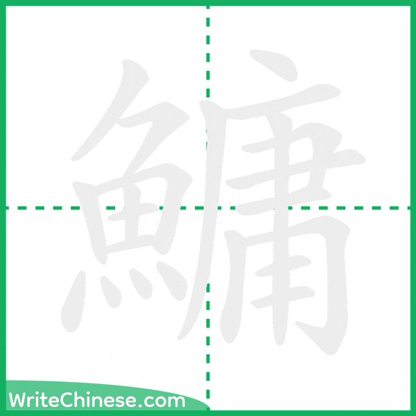 中国語の簡体字「鱅」の筆順アニメーション