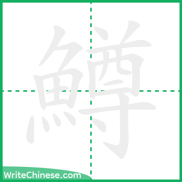 中国語の簡体字「鱒」の筆順アニメーション