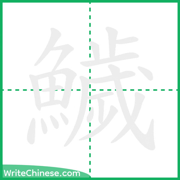 中国語の簡体字「鱥」の筆順アニメーション
